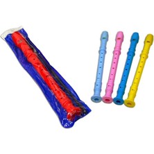 Manuel Raymond DR08 Blok Flüt | Okul Tipi Soprano Tasarım, Hijyenik Plastik Kılıflı, Alman ve Japon Sistemine Uygun Eğitim Flütü