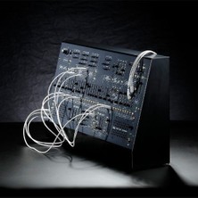 Korg Arp 2600 M | Analogue Synthesizer Modulü