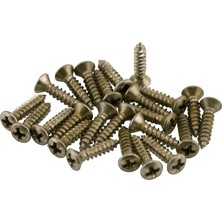 Fender 0997208000 Road Worn Pickguard Vidaları (24'lü Paket) | Eskitilmiş Görünümlü Vidalar Relic Gitarlar Için Tam Uyum