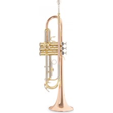 Roy Benson TR-202G Bb Trompet (Gold Brass) | Altın Pirinç Kalak Sıcak Ton