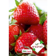 Arzuman Çilek Tohumu