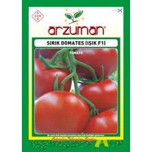 Arzuman Domates Tohumu Işık Sırık F1 - 10 Adet