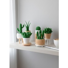 6'lı Yapay Kaktüs Set (18 Parça) - Yapay Çiçek - Yapay Bitki