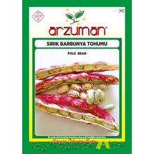 Arzuman Barbunya Tohumu (Sırık) 50 gr