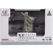 Animal World Vahşi Hayvanlar 64809 Koala