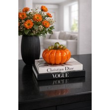 Aydınev Cam Turuncu Kabak Küçük Boy