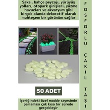 Wintoup Gece Parlayan Saksı Bahçe Yürüyüş Yolu Otopark Havuz Akvaryum Çok Şık Fosforlu Çakıl Taşı 50 Adet