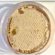 Balorjin Çıta Petekli Çiçek Balı 600 gr