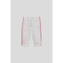 GB Baby Bg Store Erkek Bebek Çizgili Pantolon