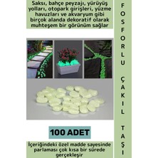 Wintoup Gece Parlayan Saksı Bahçe Yürüyüş Yolu Otopark Havuz Akvaryum Çok Şık Fosforlu Çakıl Taşı 100 Adet