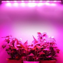 Grow LED 12V Full Spectrum LED Bitki Büyütme Ledi Alüminyum Kasalı 50CM