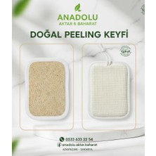 Ank Dikdörtgen Kabak Lif