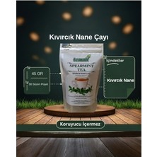 Teamix Kıvırcık Nane Çayı  Spearmint Tea 45 gr 30 Süzen Poşet