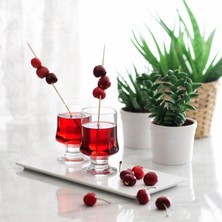 Aesco ARY359F Aria 6'lı Meşrubat Bardağı