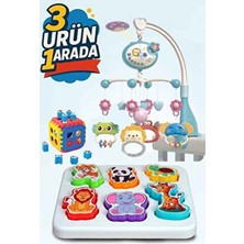 Oruç Oyuncak Uzaktan Kumandalı Dönence Işıklı ve Müzikli Eğitici 3 Ürün Geliştirici Neşeli Dostlar Bultak