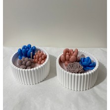 Violet Candle Decor Sukulent Dekorlu 2'li Mum