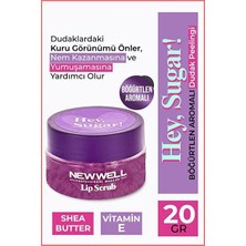 Newwell Dudak Peeling