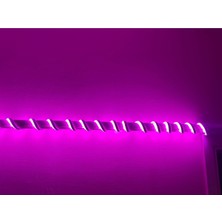 Adal Pembe Renk 12V Neon LED (5 Metre)