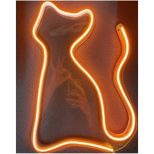 Kedi Turuncu Neon LED Duvar Tabela Pleksi