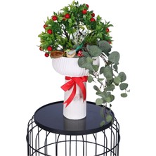 Yapay Çiçek Sitesi Beton Vazoda Yapay Egzotik Bitki Aranjmanı