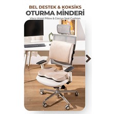 Viscotex Visco Ortopedik Oturma ve Bel Destek Minderi Seti, Sırt Yastığı ve Koksiks Minderi