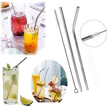 Aesco 2'li Paslanmaz Çelik Pipet, Temizleme Fırçası, Metal Pipet