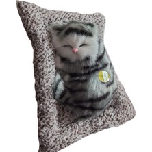  yavru yatan kedi sesli