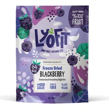 Freeze Dried Böğürtlen 15G