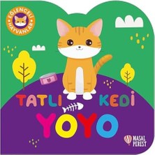 Aesco Tatlı Kedi Yoyo