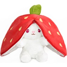 Aesco Ayıcık, Sevgi,pelüş ve Çiçek,tavşan,ayı,gül,doldurulabilir Buket (Çilektavşan)