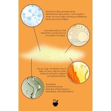 Aesco Cosmed Spf 30 Bronzlaştırıcı Güneş Yağı Sprey