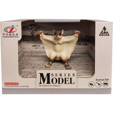 Animal World Vahşi Hayvanlar 64809 Yarasa