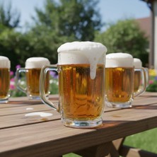 Aesco Odi Home 2 Adet Orta Boy Bardağı Kulplu Cam Bardağı 480 ml