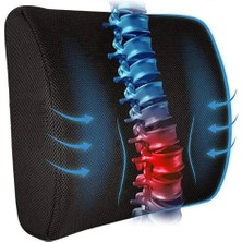 Aesco Eryatex Ortopedik Sırt Bel Minderi Ofis Oturma Minderi Bel Destek Yastığı Sırt Minderi Minderi