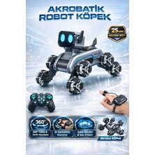 Trendzone Uzaktan Kumandalı Bilekten Kontrollü El Sensörlü Müzikli LED Işıklı Stunt Akrobat Robot Köpek Araba