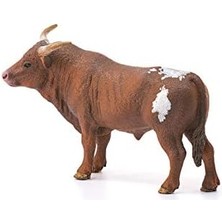 Aesco 13866 T Longhorn Boğa, Renkli
