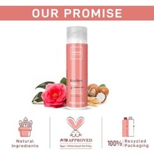 Aesco Professıonal Essentials Bye Bye Frizz Bakım Kremi, 250ML