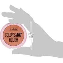 Aesco Color Art Blush Allık 130 Copper My Way