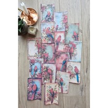 Kolbi Craft 15 Adet Eskitme Vintage Papağan Temalı Scrapbook Kağıt Seti Bullet Journal Dekupaj Kağıdı