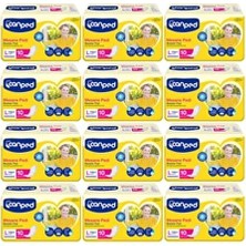 Canped 10'lu 12 Paket Lohusa Pedi Yoğun L (Büyük) Beden Gün Boyu Konfor ve Sızıntı Önleyici