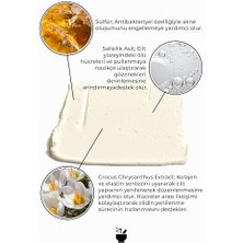 Aesco Cosmed Siyah Nokta Karşıtı Salisilik Asit ve Sülfür Içerikli Kil Maskesi