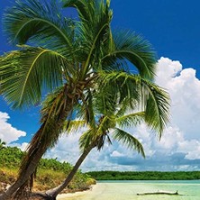 Aesco Heye Puzzle Paradise 2000 Parça Panorama