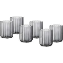 Aesco Foggy Grey 6'lı Su Bardağı