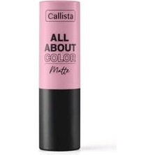 Aesco All About Color Matte Lipstick Mat Görünümlü Ruj 504 That Rose, Bordo
