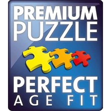 Aesco 300 Parça Potter Puzzle