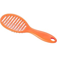 Aesco Vegas Delikli Tarama Firçasi 1 Paket