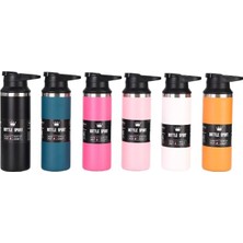 Aesco Çelik Içli Termos 500 ml Mavi SKM018