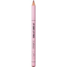 Aesco Lip Candy Dudak Kalemi 01 Butterly, Nude
