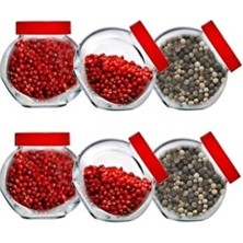 Paşabahçe Bella Mini Baharatlık 6lı Takım 80386 048OA