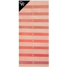 Aesco Satin Lipstick No:07 1 Paket